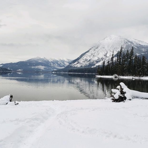 Meet your Posher, Kelly - Picture 3 of 3